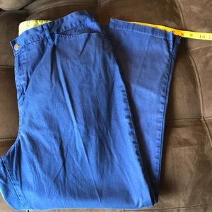 EUC Ankle Pants